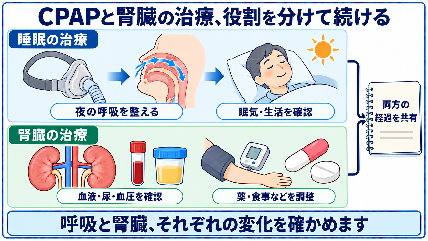腎臓の診療とCPAP管理を並行し、普段の記録を確認する様子
