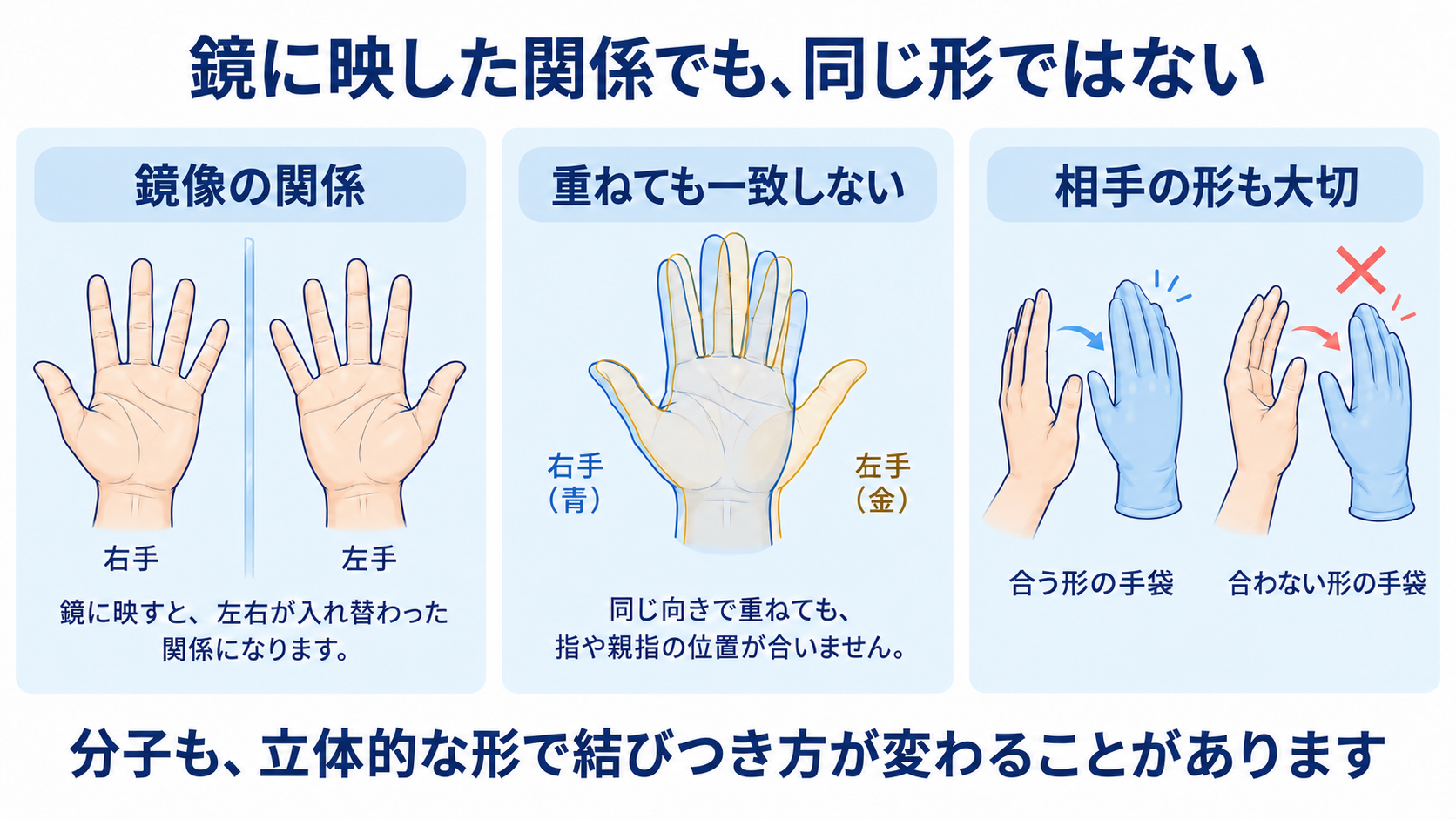 鏡に映した左右の手は似ていても、同じ向きでは重ならない。立体的な相手との組み合わせで結びつき方が変わる。