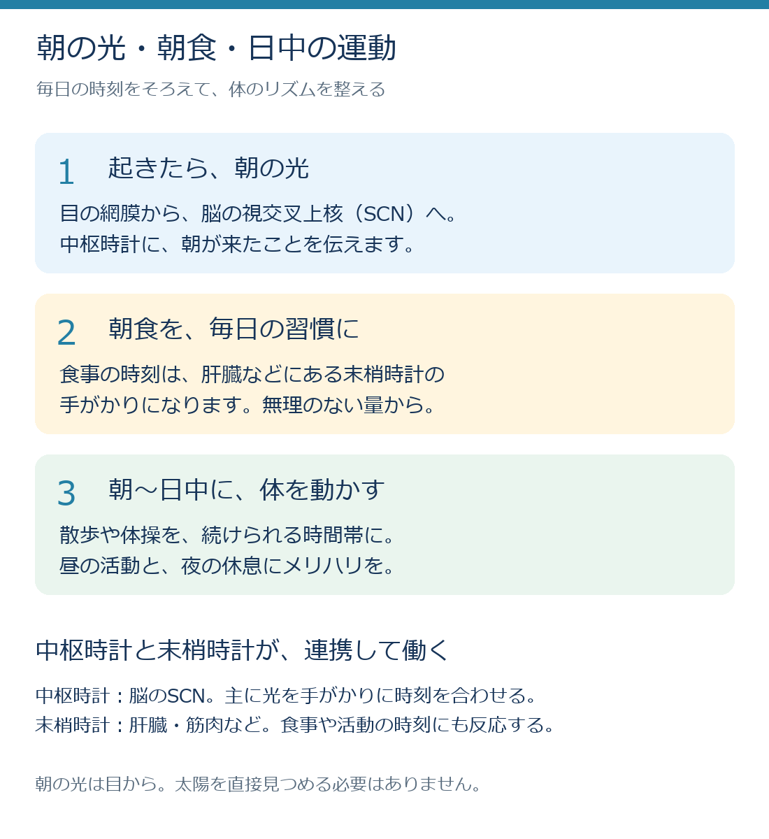 朝の光は脳の中枢時計へ、食事や活動の時刻は末梢時計にも働きかける。