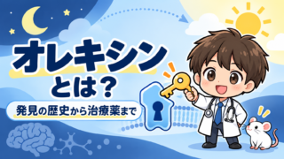 オレキシンとは？発見の歴史から治療薬まで。鍵と受容体を示す漫画の医師とマウス。