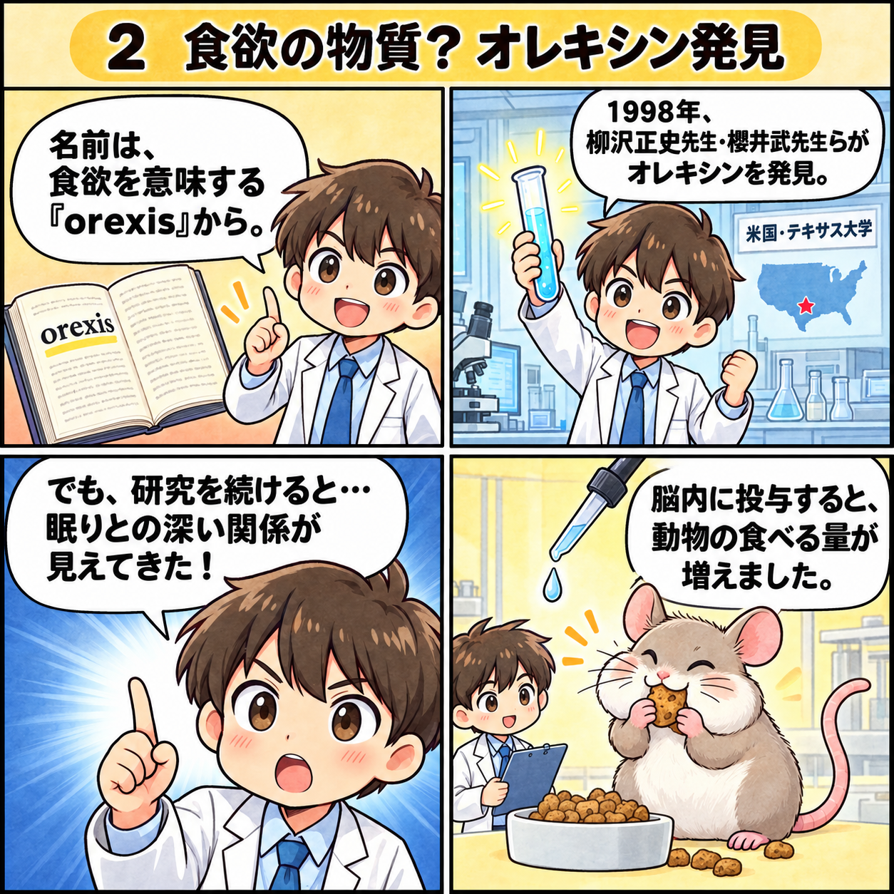 2.食欲の物質? オレキシン発見。1998年、米国で柳沢正史先生・櫻井武先生らがオレキシンを発見。名前は食欲を意味する言葉に由来します。
