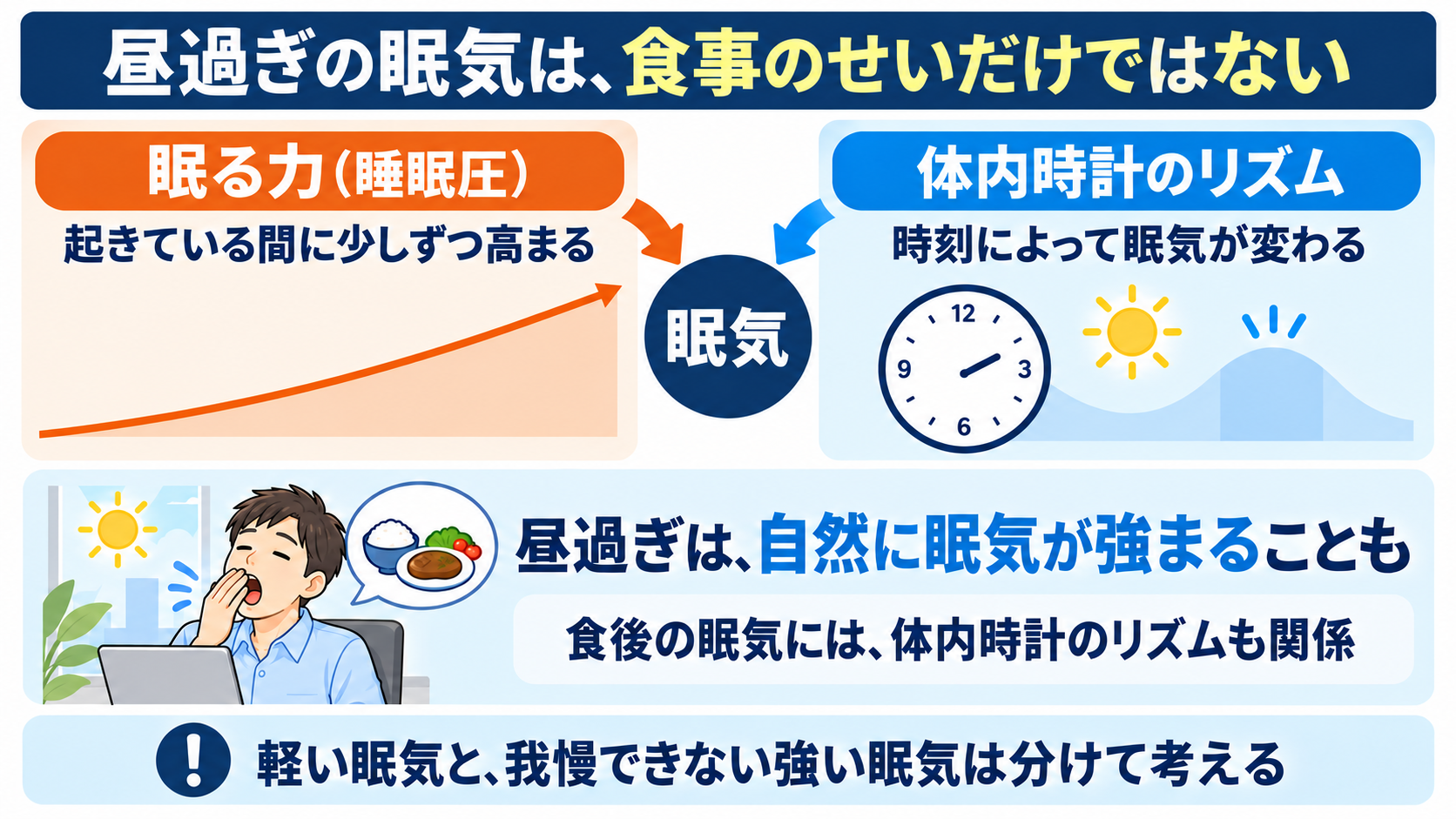 昼過ぎの眠気には、起きている間に高まる睡眠圧と体内時計のリズムの両方が関わる