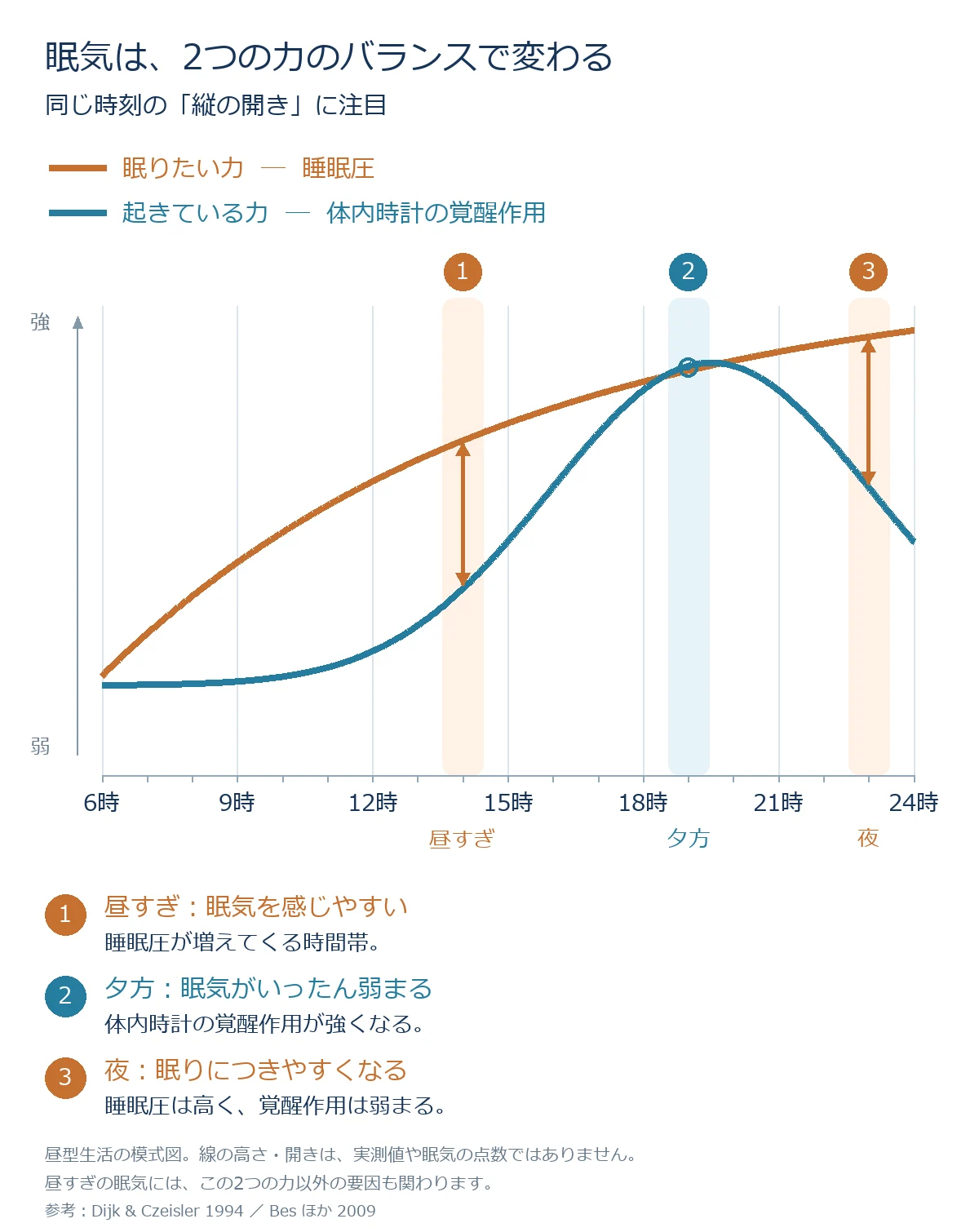 睡眠圧と体内時計の覚醒作用。昼すぎ、夕方、夜の眠気の変化