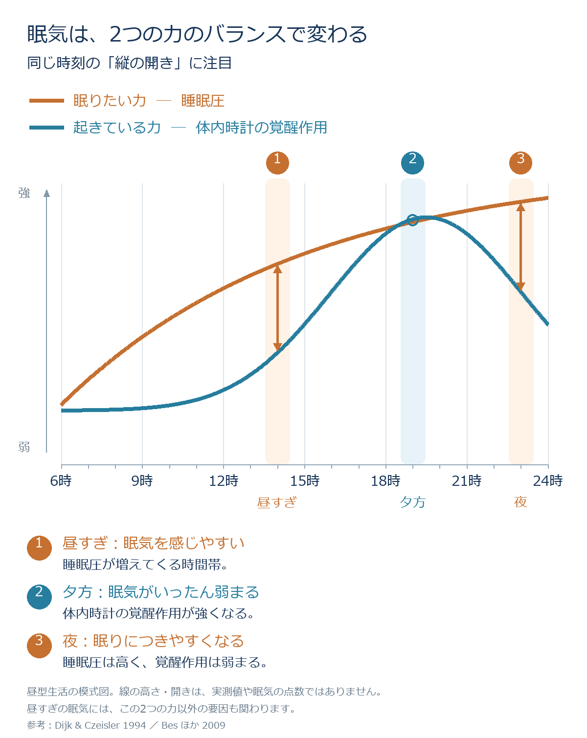 睡眠圧と体内時計の覚醒作用を同じ時間軸に重ねた図。昼すぎ、夕方、夜の2本の線の縦の開きに注目。